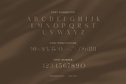 Dasier Elegant Fashion Serif Font, a Serif Font by Graphicxell (Thumbnail 7 of 8)