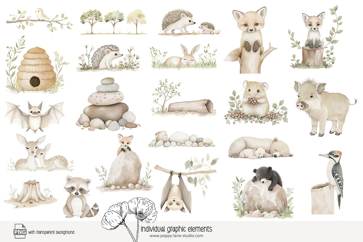85 forest animal clip art, an Animal Illustration by Poppy Lane Studio (Photo 2 of 10)