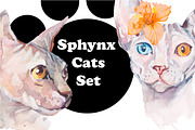 Watercolor Sphynx Cats Set, an Illustration by Elizaveta (Thumbnail 1 of 5)