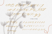 Klice | Elegant Script, a Script Font by Pentagonistudio (Thumbnail 8 of 10)