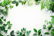 99 Frames of green leaves, a Nature Photo by Handmadefont (Thumbnail 44 of 100)