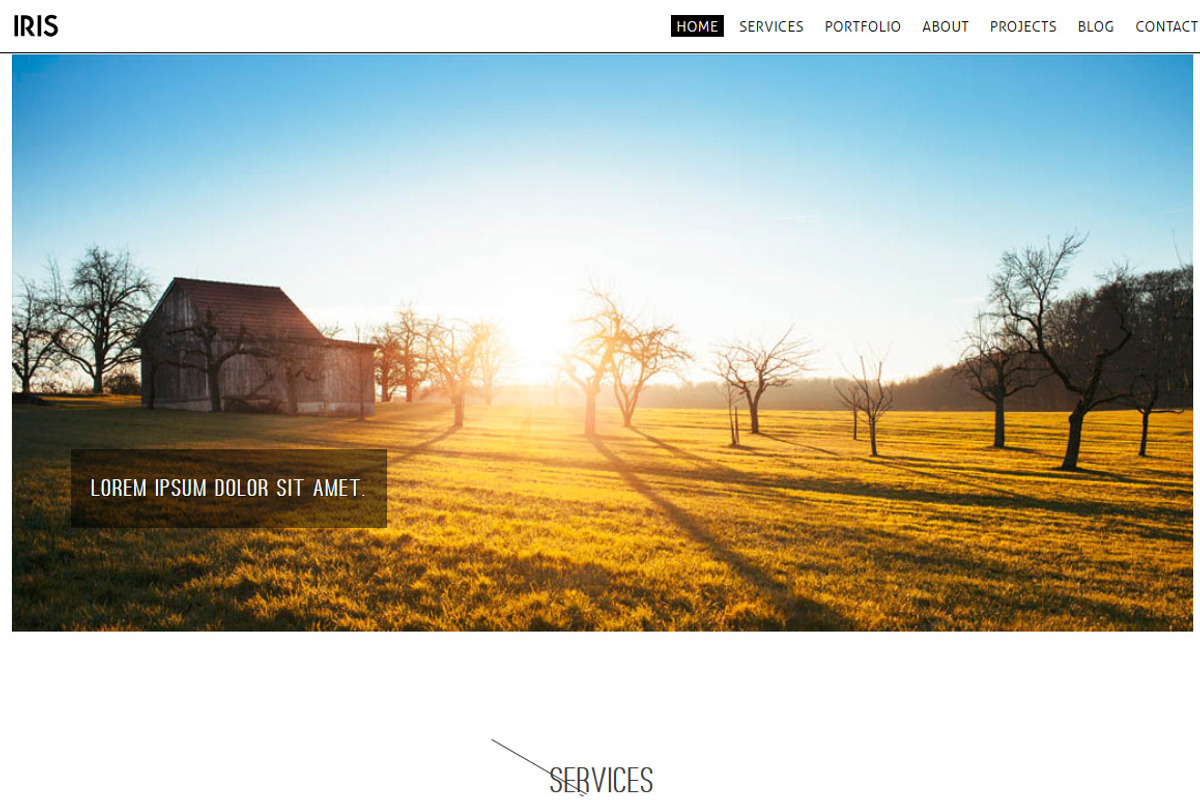 IRIS, a Bootstrap Template by ortheme (Photo 2 of 3)