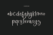 Beast Stairways Calligraphy Font, a Handwritten Font by UICreative (Thumbnail 9 of 13)