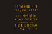 Michael Carsl Condensed Serif, a Serif Font by Cruzine (Thumbnail 5 of 8)