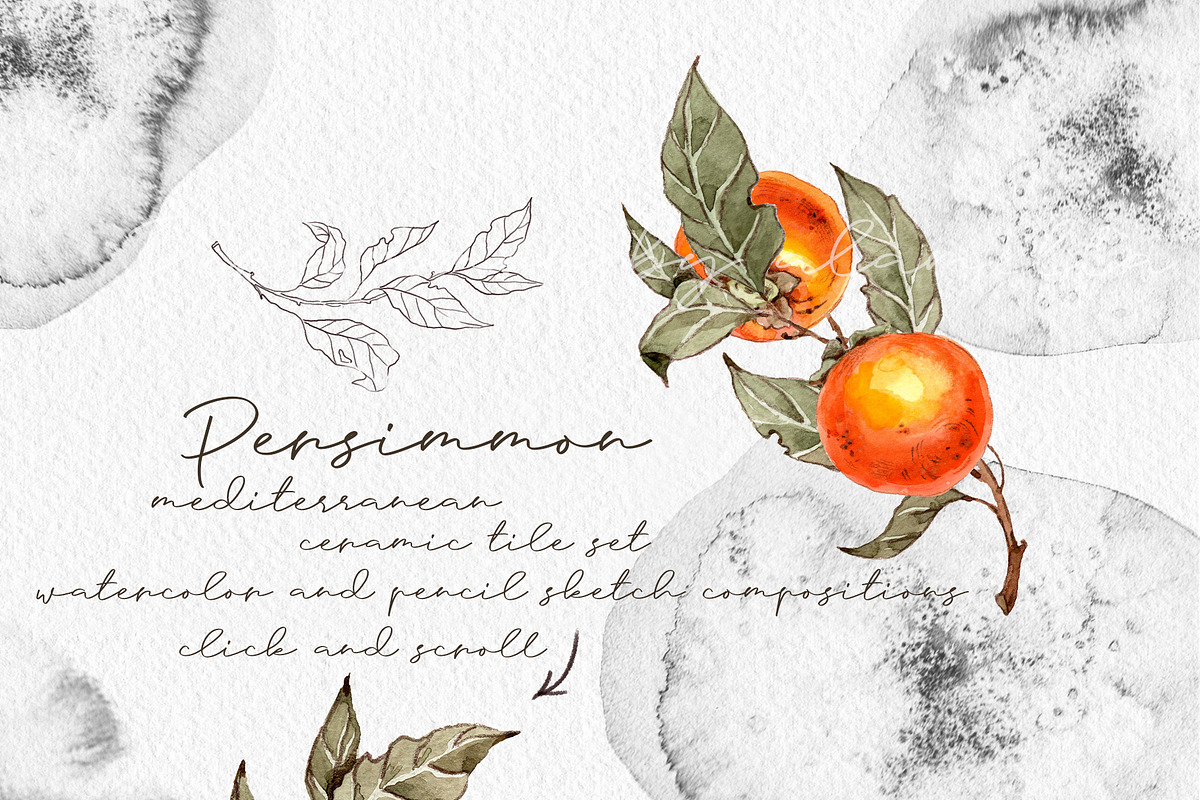 Persimmon Mediterranean ceramic tile, an Illustration by Alamella (Photo 2 of 11)