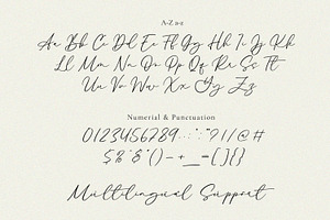 Signature Font & Singleline - Alekin