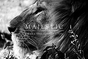 Majestic: Black + White PS Actions, an Action Add-On by Heart + Soul Studios (Thumbnail 13 of 15)