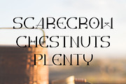 Okto Maple - Modern Serif, a Serif Font by Lemon Studio Type (Thumbnail 4 of 8)