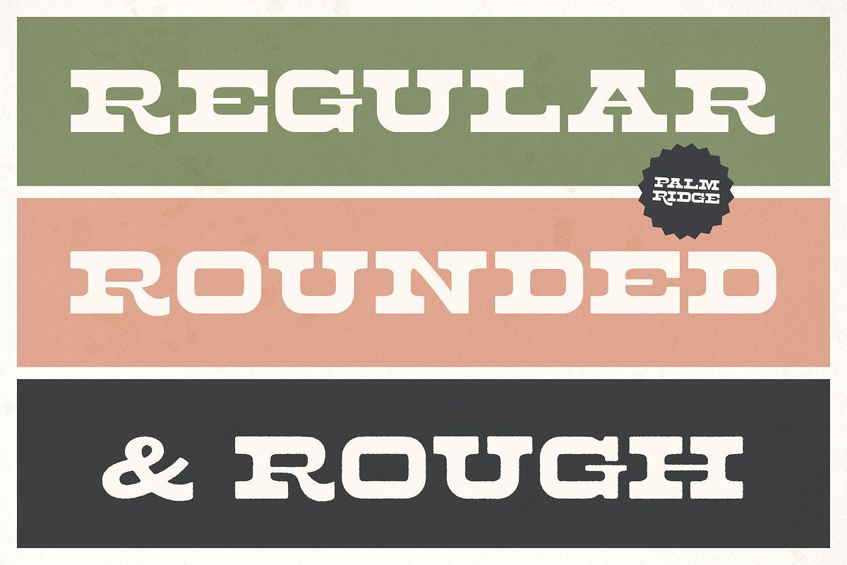 Palm Ridge Midcentury Southwest Font, a Serif Font by Molly Suber Thorpe (Photo 4 of 15)