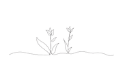 tulip botanical floral sketches, an Object Graphic by lawoel (Thumbnail 3 of 3)