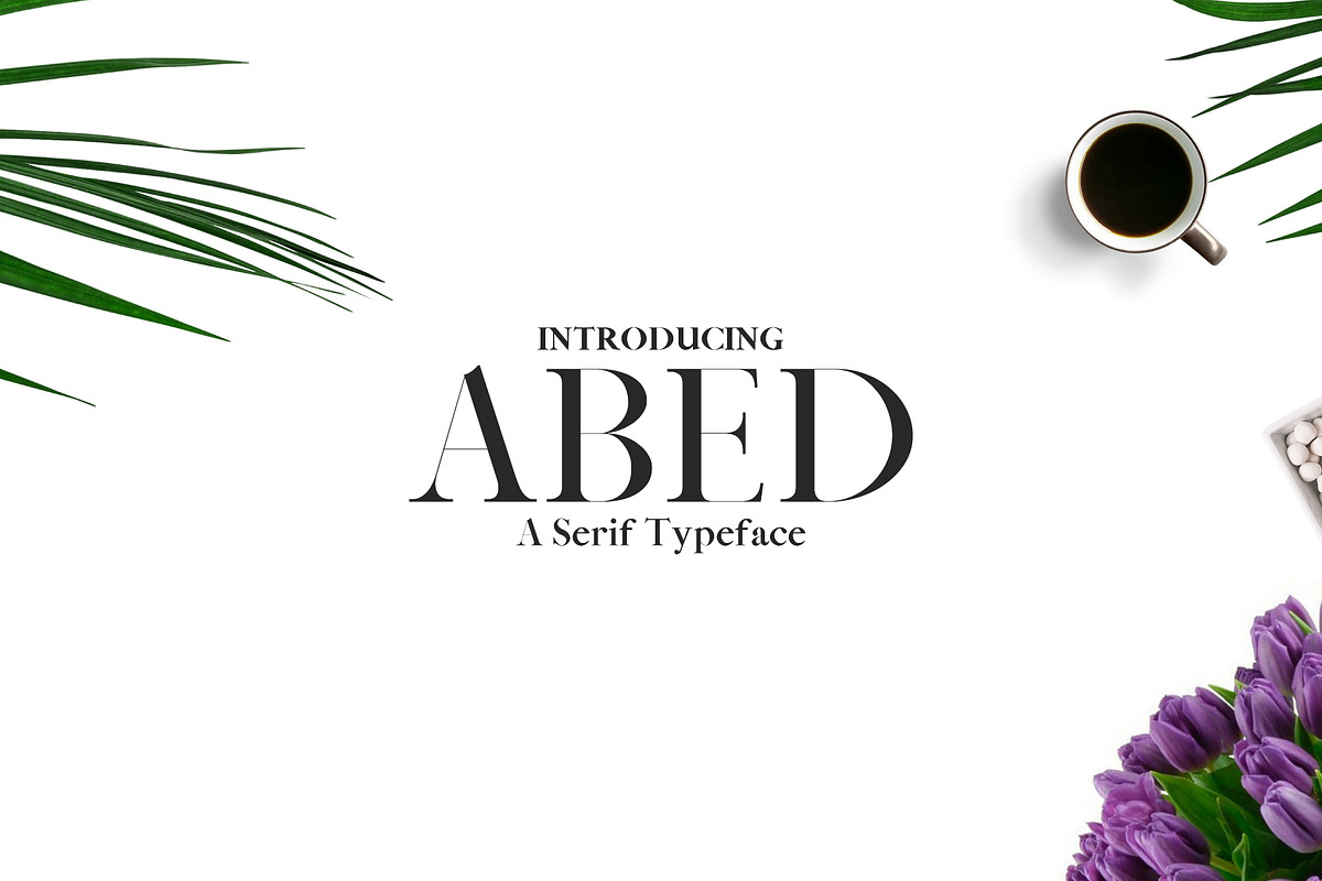Abed Serif Font Family Pack