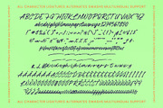 Legont Heritage Modern Brush Script, a Script Font by Letterena Studios Script (Thumbnail 14 of 15)