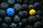 116 Umbrellas, a Background Photo by Handmadefont (Thumbnail 7 of 14)