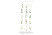 Watercolor Delicate Wildflowers, a Decorative Illustration by Patishop Art (Thumbnail 7 of 7)