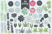 Succulents., an Illustration by maritime_m (Thumbnail 3 of 8)