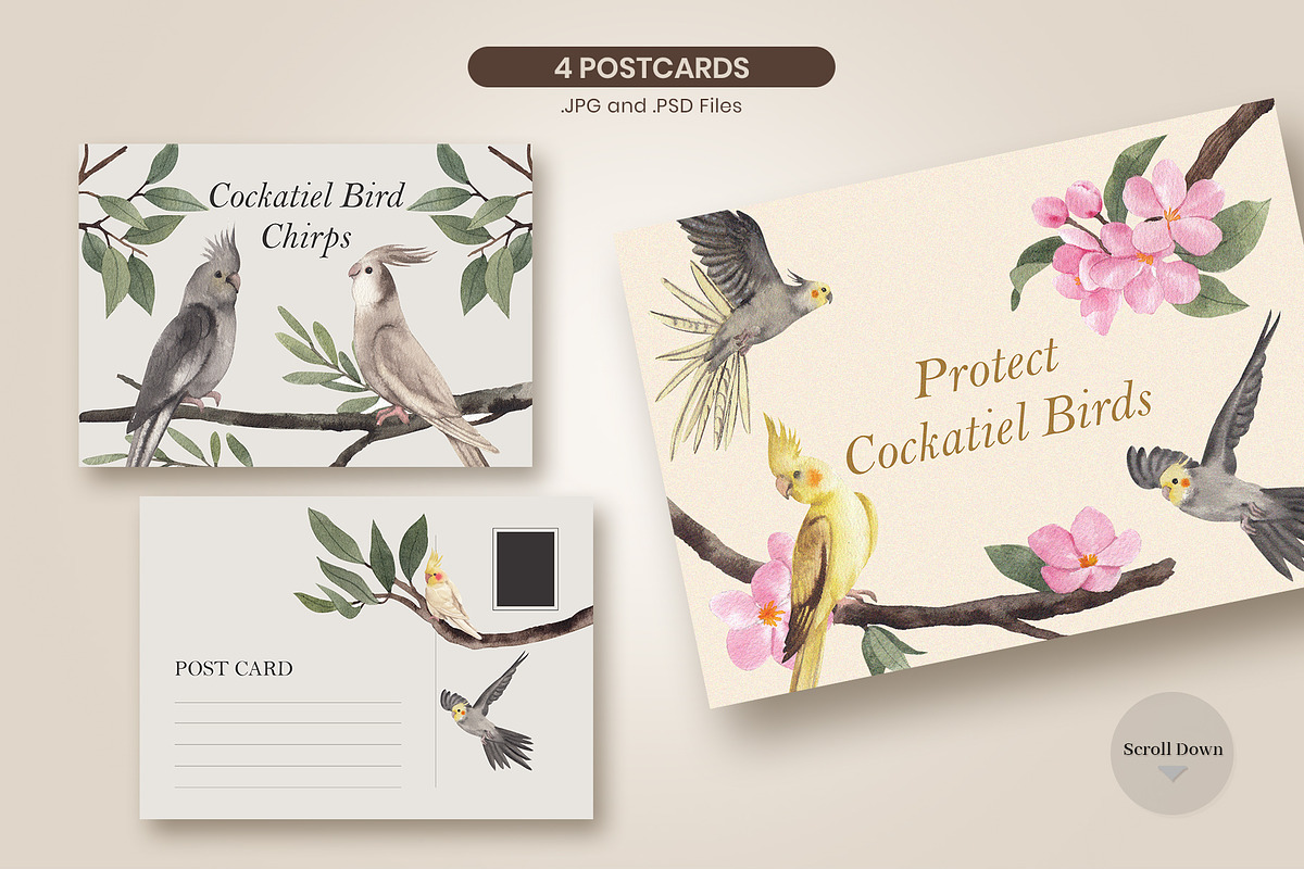 Cockatiel Birds Watercolor, an Animal Illustration by CreativeValuation (Photo 5 of 15)