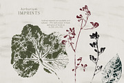 Botanical Imprints: Floral & Paper, an Object Graphic by Yuliya Derbisheva (Thumbnail 6 of 10)