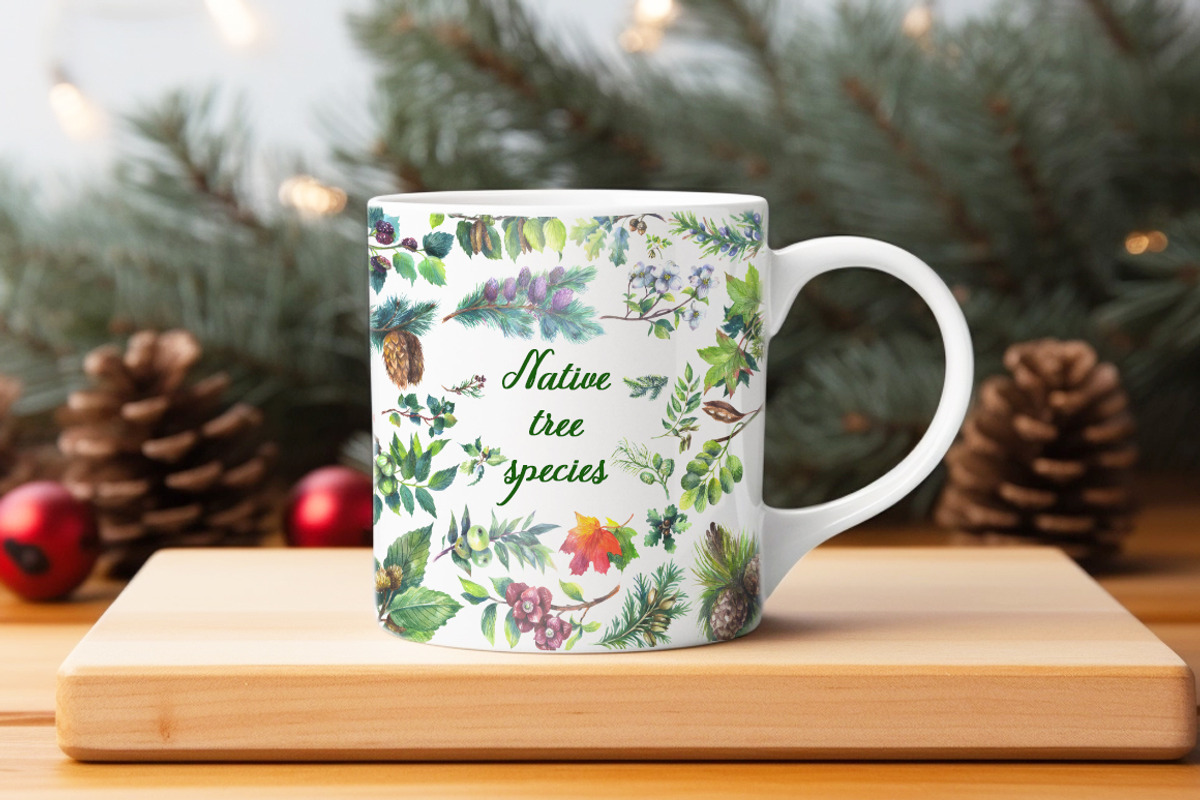 Native tree species in the USA, a Seasonal Illustration by FITALARTSNEDIGI (Photo 6 of 7)