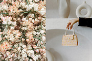 Charlotte Floral Collection, an Illustration by Emilie Cliche (Thumbnail 7 of 8)