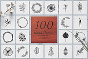 100 Hand Drawn Elements -Floral-, a Decorative Illustration by Michael Rayback Design (Thumbnail 1 of 18)