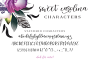 Sweet Carolina, a Script Font by Hewitt Avenue (Thumbnail 6 of 11)