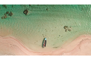 Bird's eye view of a tranquil beach, a Nature Photo by Goinyk