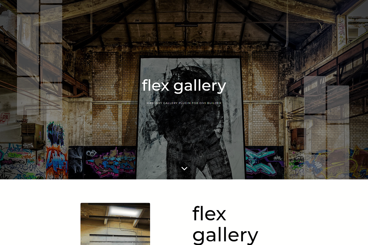 FLEX GALLERY, a Plug-in Add-On by gdo.com
