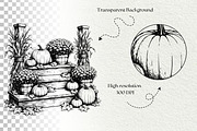 Pumpkin Harvest Line Art Graphics, a Seasonal Illustration by DENIDigitalArtSudio (Thumbnail 6 of 6)