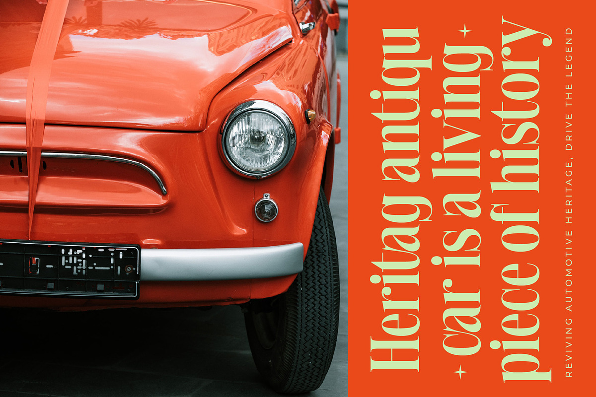 Delivery Feedback Modern Serif, a Serif Font by timelesstype.co (Photo 15 of 20)