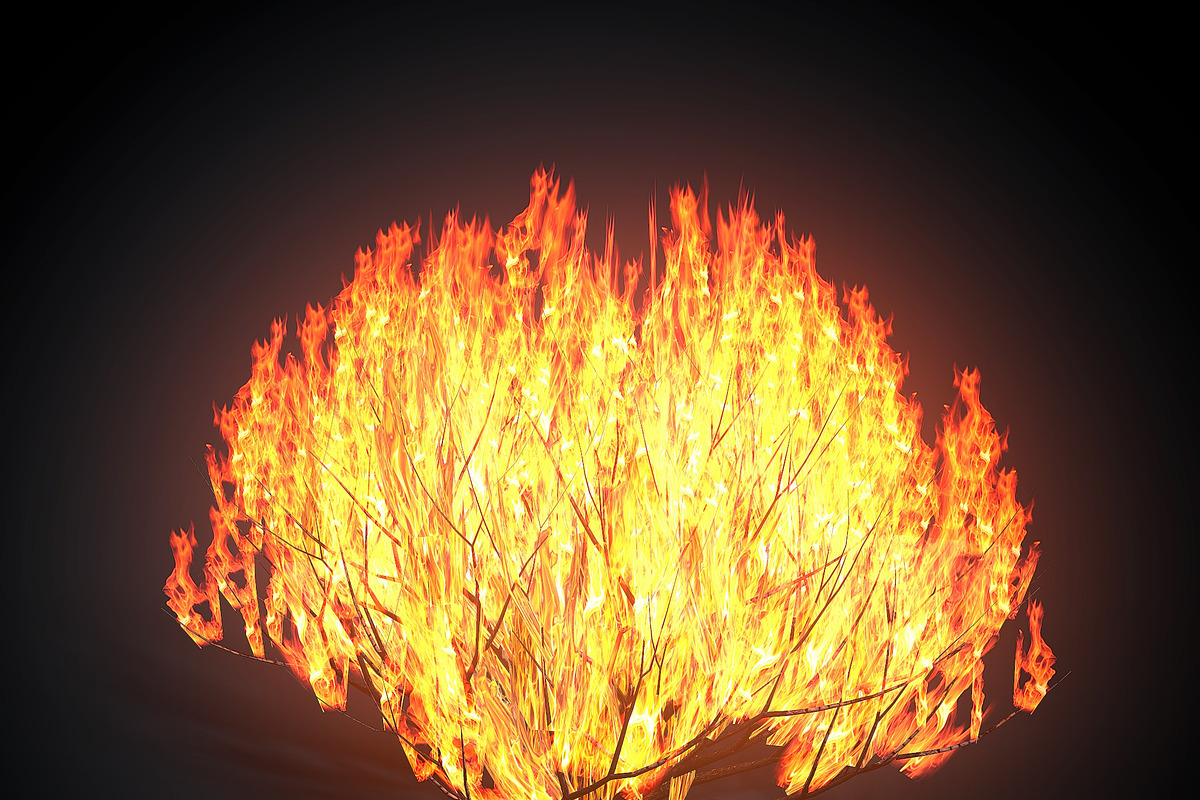 Burning bush, an Environmental 3D Model by AndrewWhite (Photo 4 of 9)