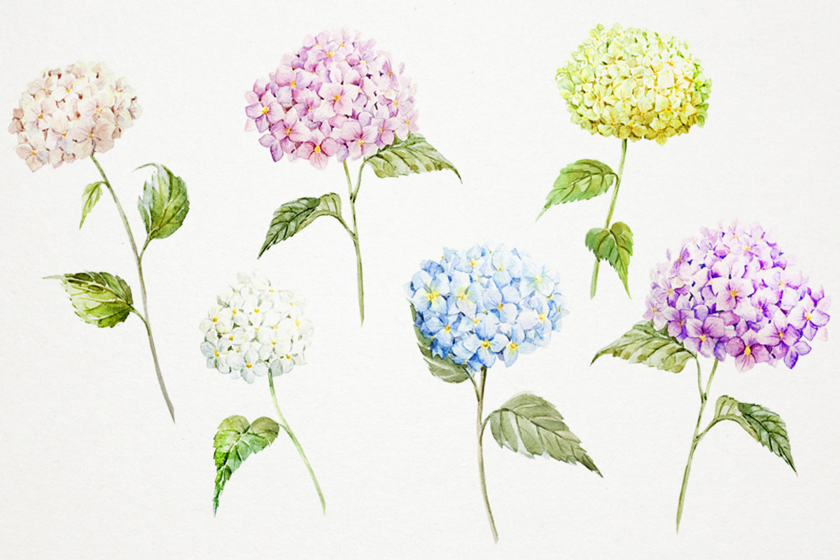 Watercolor Vector Set preview 4