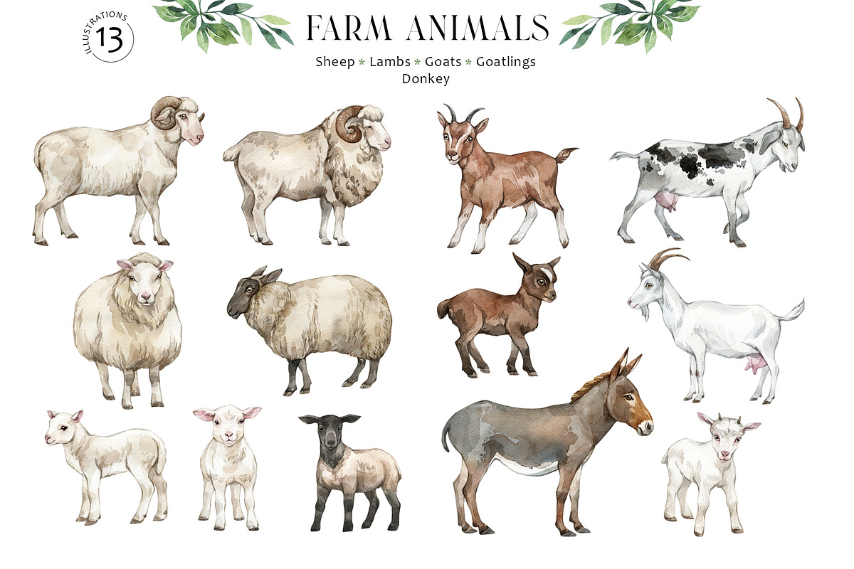 FARM ANIMALS Encyclopedia, an Animal Illustration by Anastezia Luneva (Photo 5 of 14)