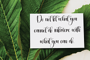 Winterday | Script Font, a Handwritten Font by Scratchones (Thumbnail 3 of 9)