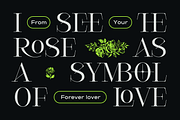 Cesso: Ligature Serif, a Serif Font by That That Creative (Thumbnail 4 of 17)