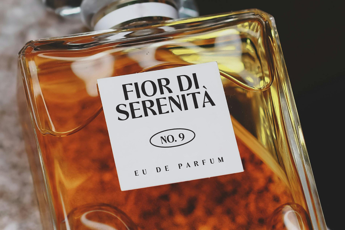 Shelffy, a Sans Serif Font by Dora Typefoundry (Photo 6 of 14)