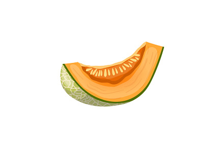 melon cantaloupe slice cartoon, a Food Illustration by pikepicture