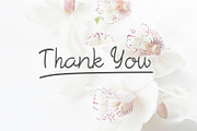 Morella, a Script Font by ViactionType (Thumbnail 12 of 12)