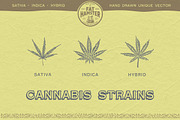 Cannabis & Hand vintage illustration, a Healthcare Illustration by Fat Hamster (Thumbnail 3 of 16)