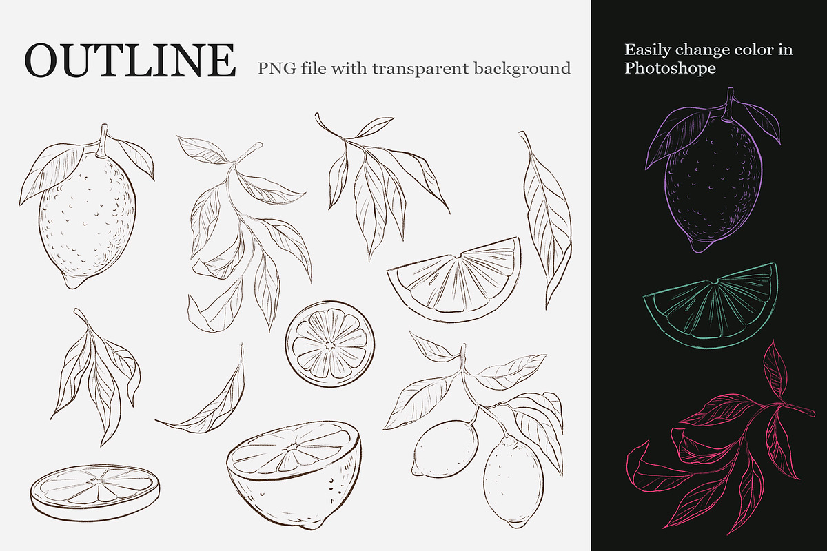 Lemon clipart, a Decorative Illustration by Aksol (Photo 3 of 4)