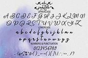 oh jamilah, a Script Font by Naqsya.Co (Thumbnail 10 of 11)