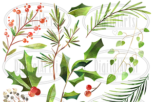 Watercolor Winter Plants Clipart