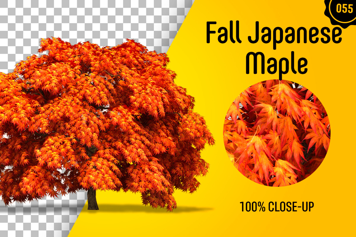 CUT OUT TREES - 60 PCS BUNDLE, a Packaging Mockup by 3DSTORE (Photo 56 of 63)