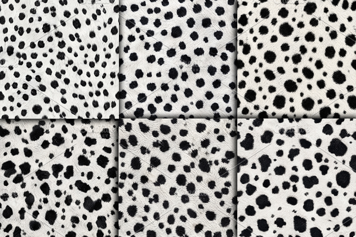 Realistic Dalmatian Fur Texture, a Pattern Graphic by Artonix (Photo 3 of 4)