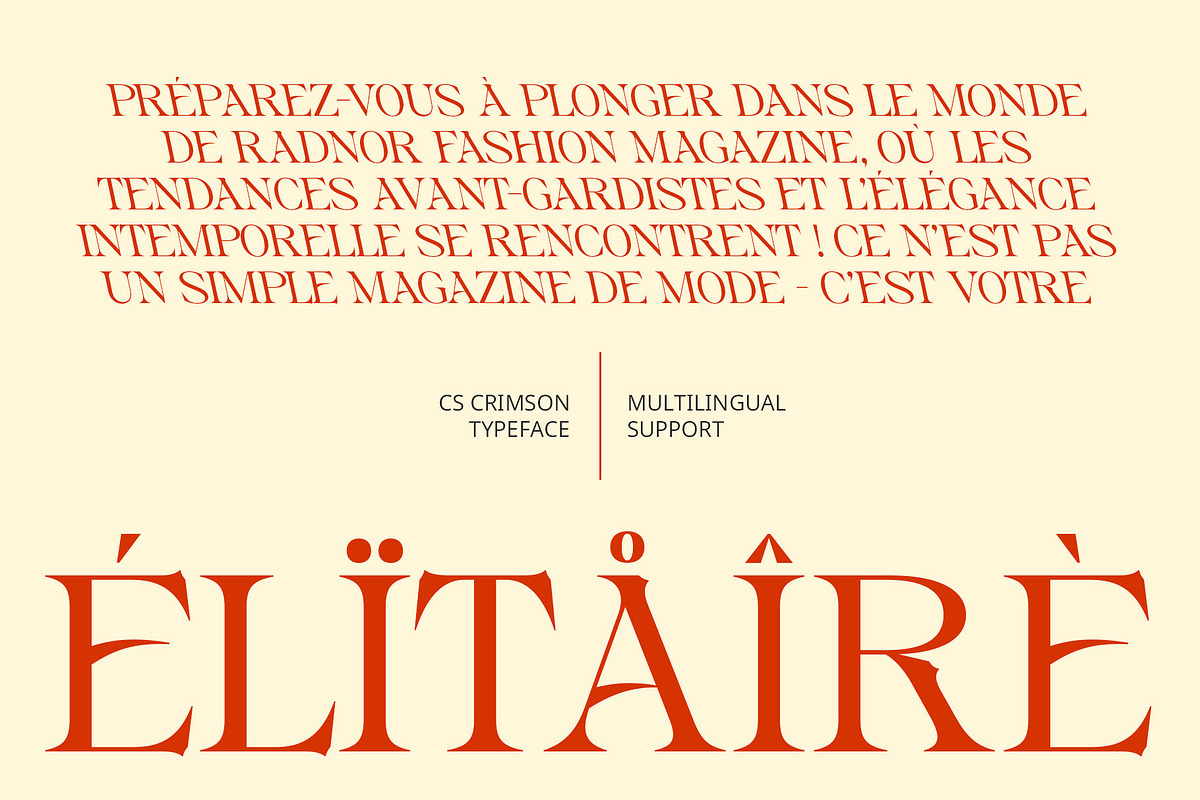 CS Crimson – Classic Font, a Serif Font by Craft Supply Co. (Photo 7 of 8)