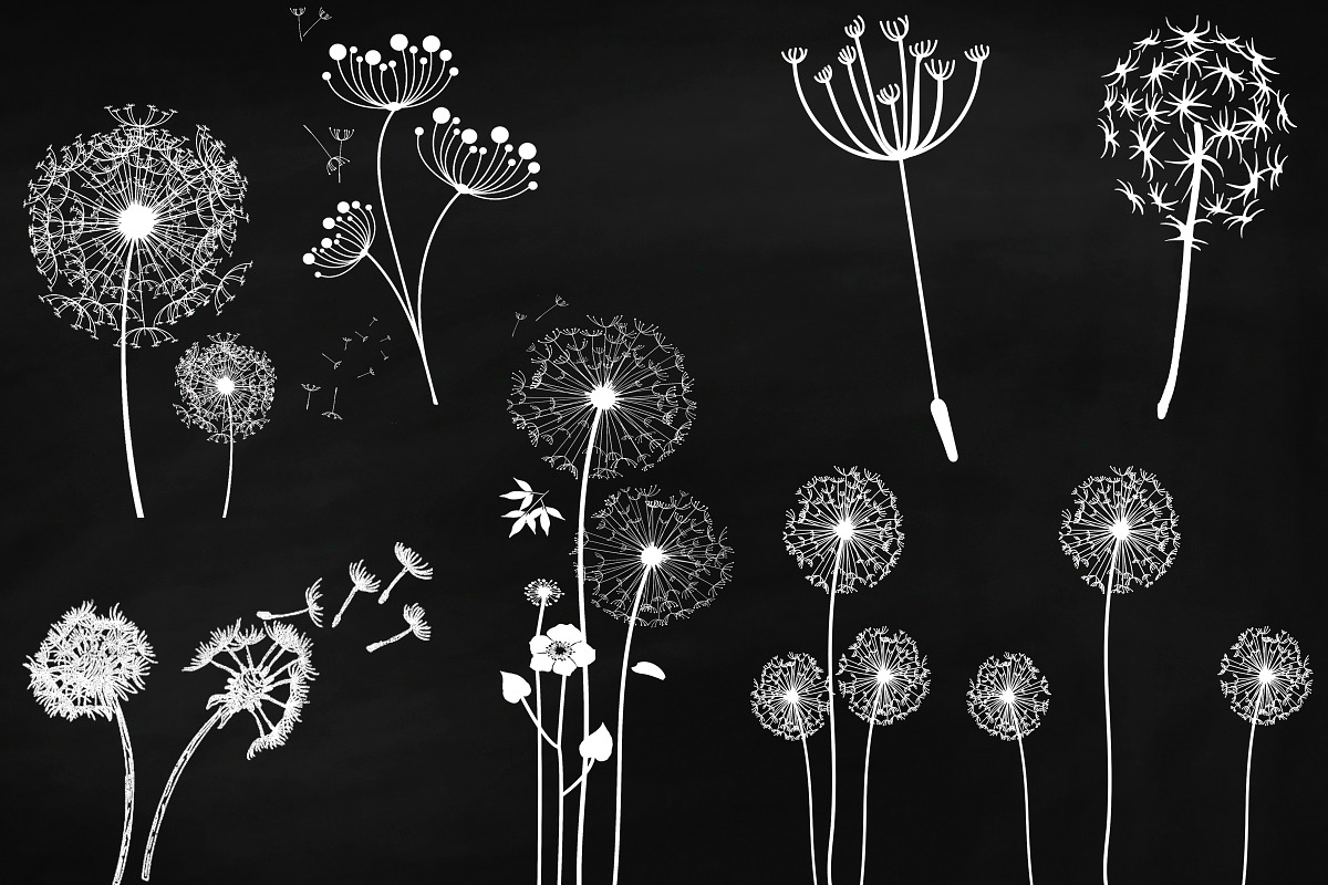 Chalk Dandelions & Overlays Clip Art, an Illustration by FrankiesDaughtersDesign (Photo 4 of 6)