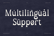 Omega – Serif Display Font, a Serif Font by Almeera Std (Thumbnail 10 of 10)