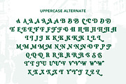 Breaking March - Groovy Bold Serif, a Serif Font by Sarid Ezra (Thumbnail 11 of 11)