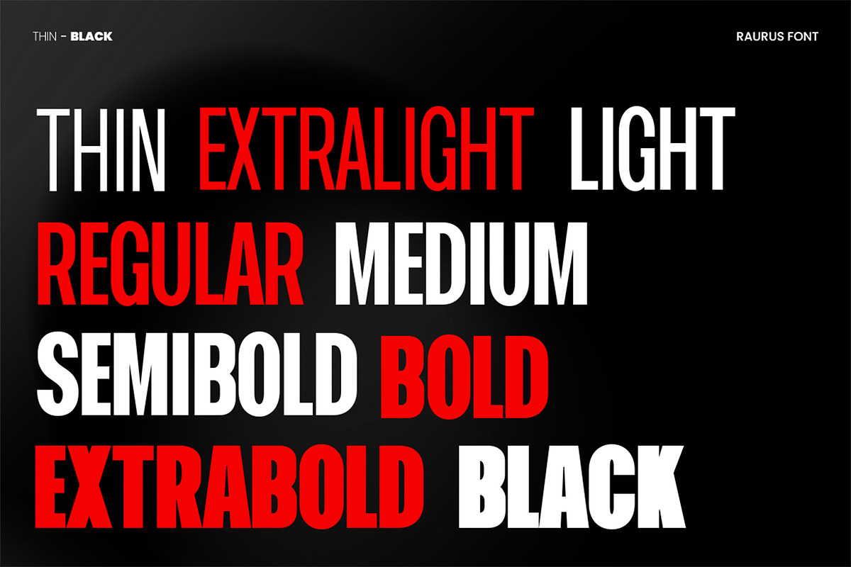Raurus Condensed Display Family Font, a Sans Serif Font by Pekotype (Photo 3 of 15)
