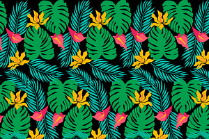 Tropical Background Collection