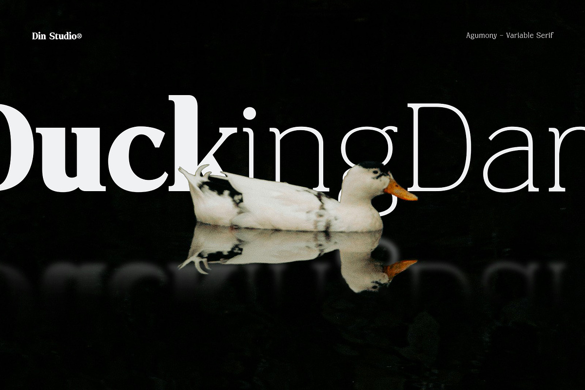Agumony, a Sans Serif Font by din-studio.com (Photo 6 of 13)
